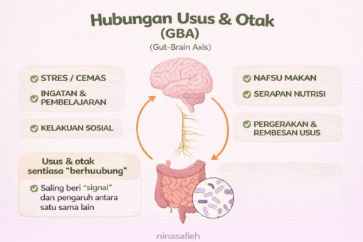 kaitan otak dan usus